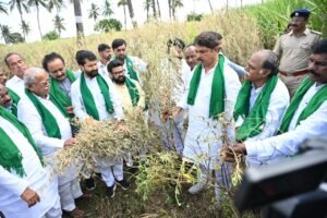 Immediate crop damage survey and compensation: R. Ashok demands