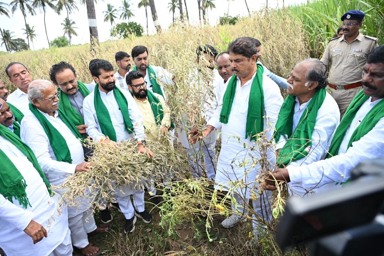 ಕೂಡಲೇ ಬೆಳೆಹಾನಿ ಸಮೀಕ್ಷೆ, ಪರಿಹಾರ: ಆರ್.ಅಶೋಕ್ ಆಗ್ರಹ