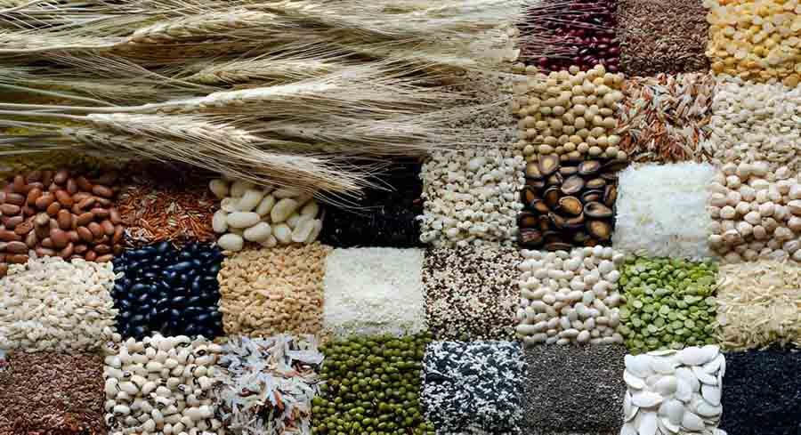 ಡಿಸೆಂಬರ್ 13 ರಿಂದ 15 ರವರೆಗೆ ಲ್ಲಾ ಮಟ್ಟದ ಫಲ-ಪುಷ್ಪ ಪ್ರದರ್ಶನ ಹಾಗೂ ಸಿರಿಧಾನ್ಯ ಹಬ್ಬ